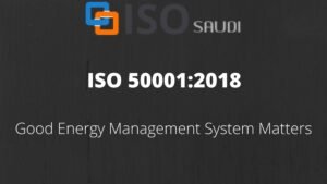 Read more about the article The Basics for implementing ISO 50001: 2018 – Energy Management System